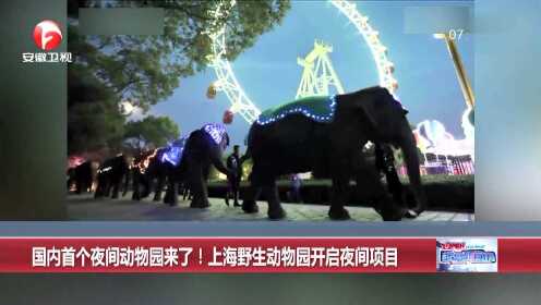国内首个夜间动物园来了！上海野生动物园开启夜间项目