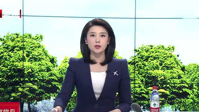 突尼斯首都发生两起自杀爆炸袭击 十余人死伤