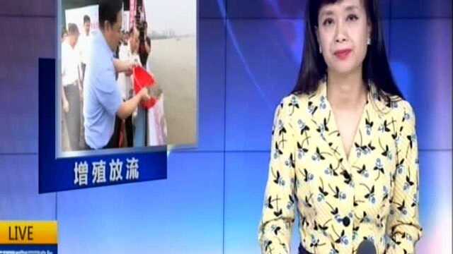 江阴:共抓大保护 18年向长江放流鱼苗超1.6亿尾