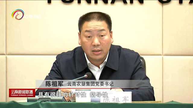 云南省国有资本运营有限公司党委:管党治党政治责任缺失 政治生态遭到严重破坏