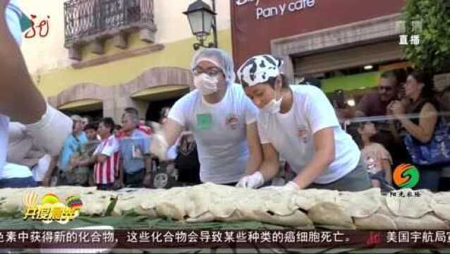 墨西哥玉米卷饼长102米