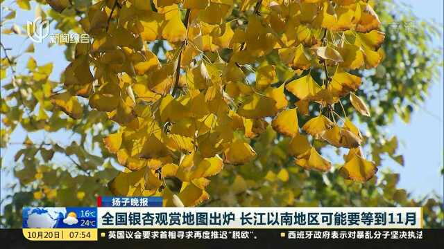 全国银杏观赏地图出炉 长江以南地区可能要等到11月