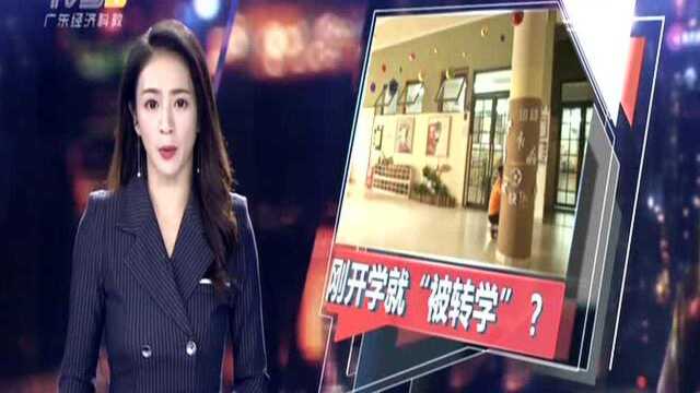 深圳龙岗:在开学当天 30多名幼儿园新生被通知分流?