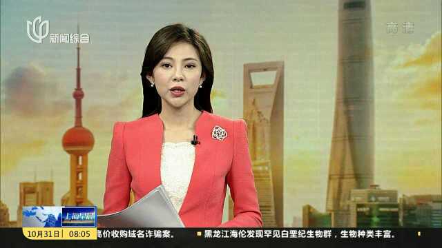 上海特色伴手礼将入驻进博会非遗老字号展区