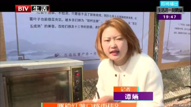 哪种红薯口感更佳?