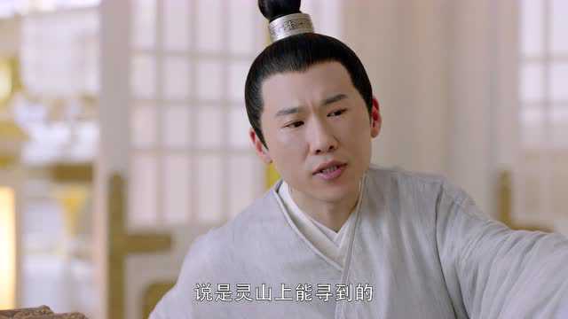三生三世枕上书 5集