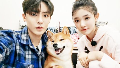 萌宠上线→心爱的小柴犬偏爱林允,主人侯明昊瞬间酸了