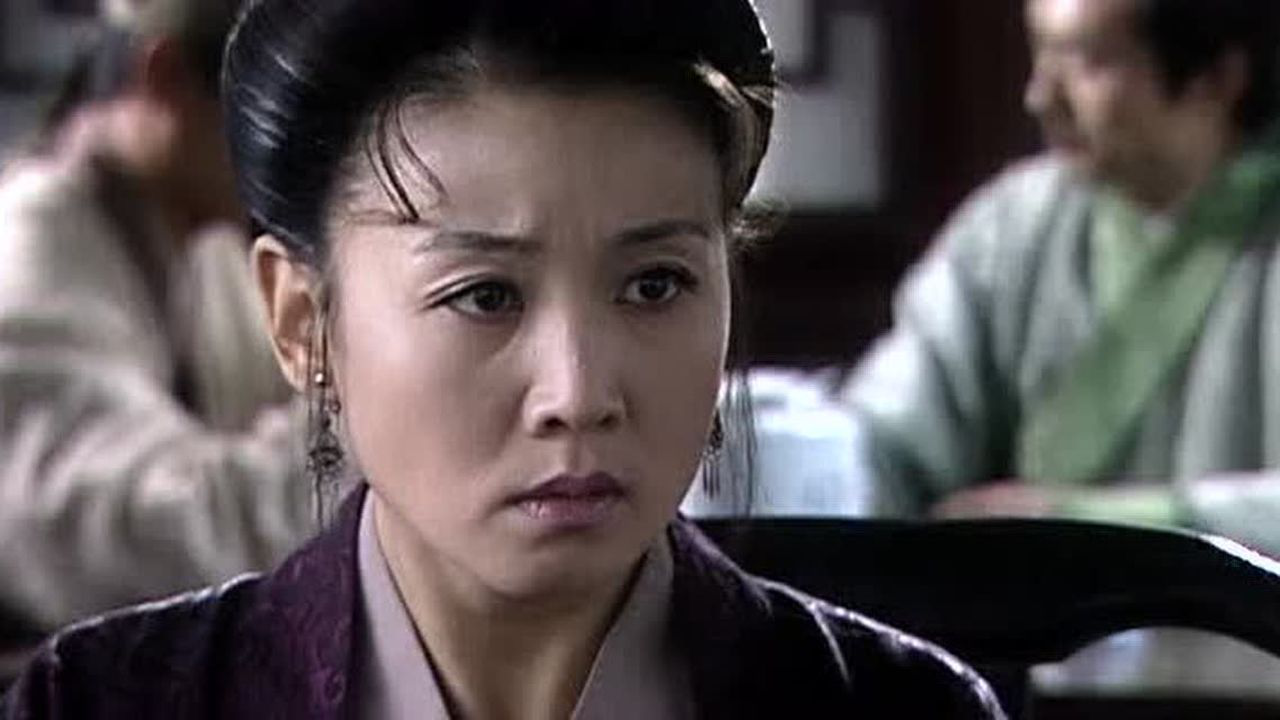 清风明月佳人 24集