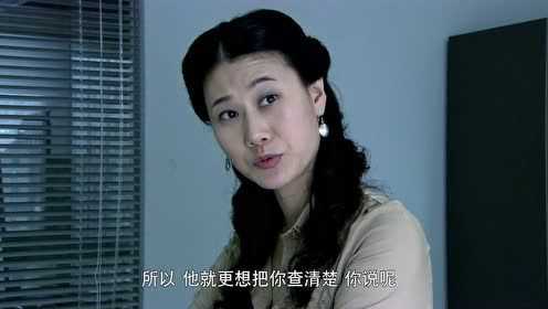 迷局之拨云见日 18集