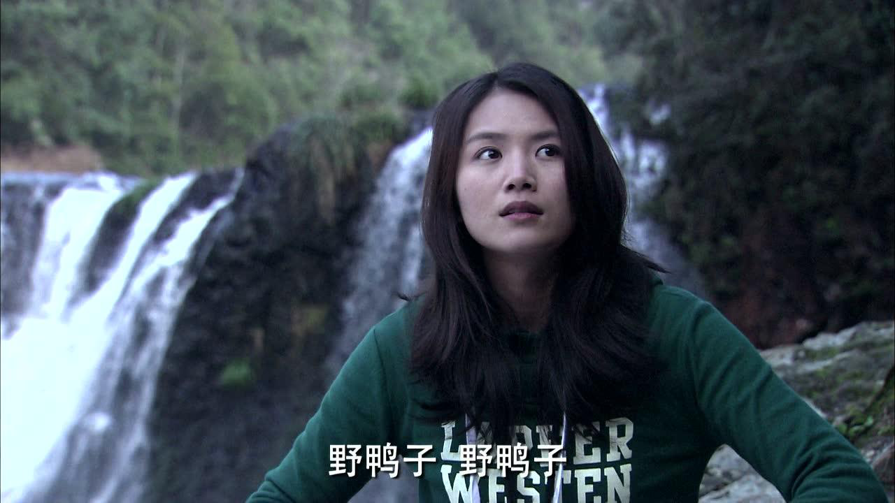 野鸭子 13集