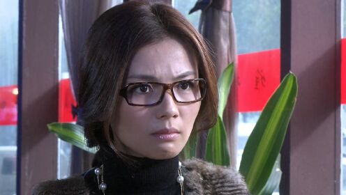 《今夜天使降临》第17集03:福尔摩斯二世告诉佳佳,说自己已有了孔