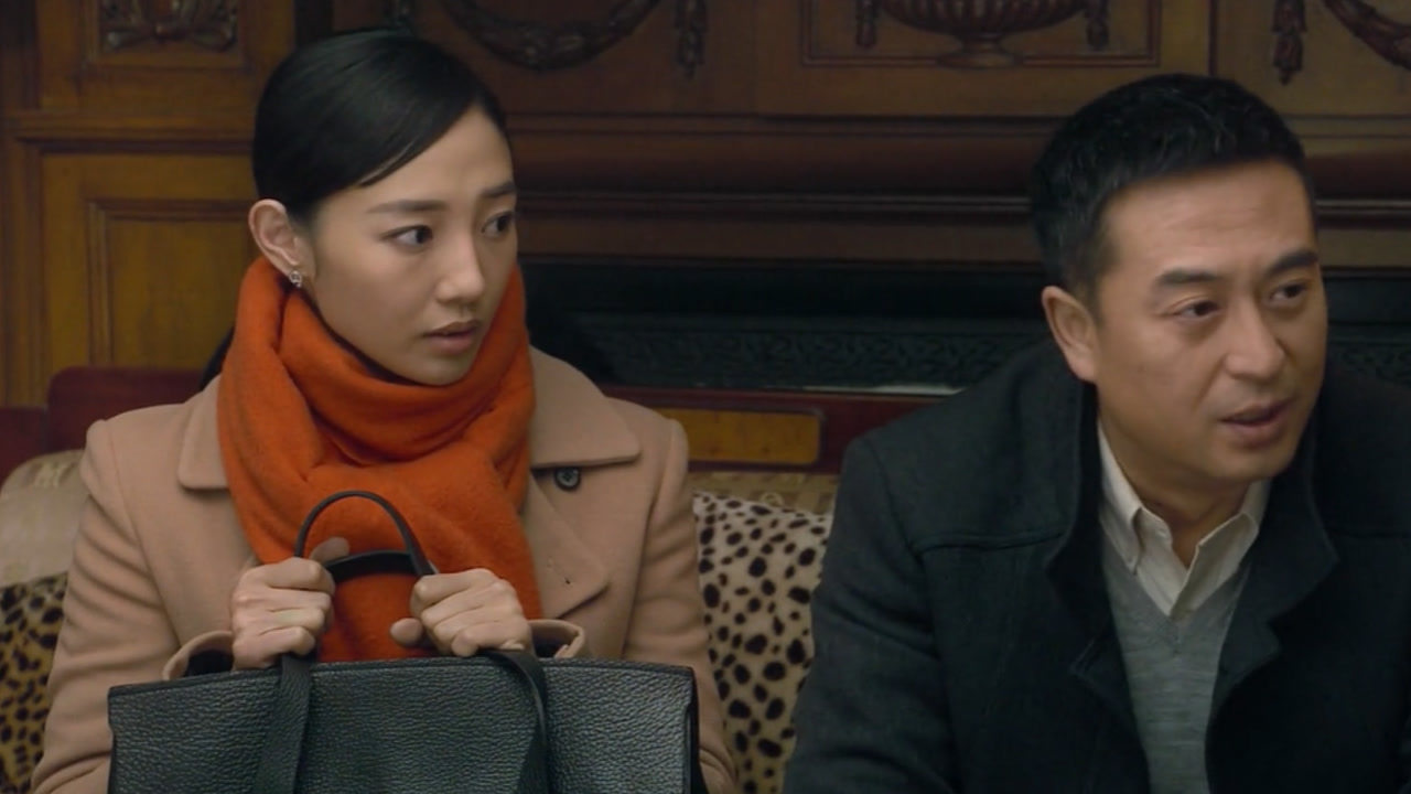 《浮沉》第十九集02:王贵林带乔莉见张副市长,不料被三两句话怼回