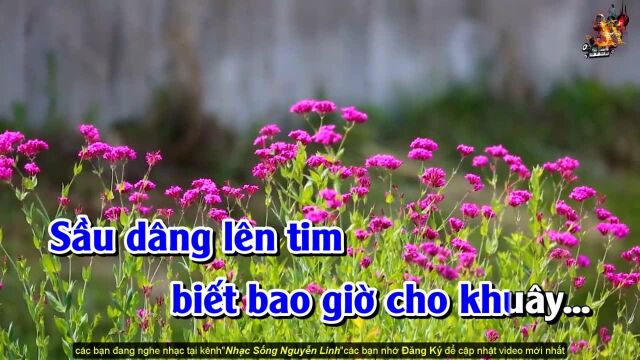 Sầu T㭭 Thiệp Hồng  Tone Nam