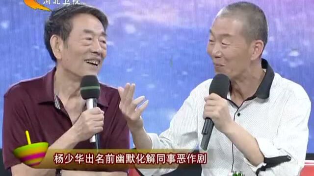 杨少华是六十岁退休走红的