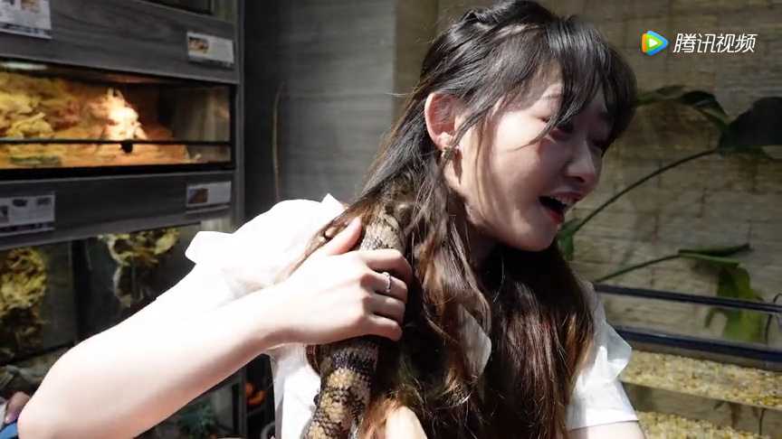 猫扎特魔法旅行团 29集