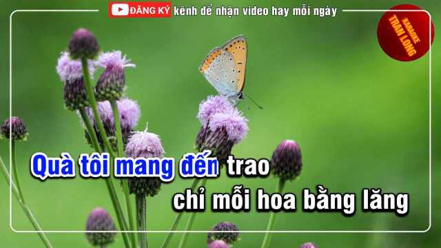 Hoa Bằng L䃮g  Tone Nam