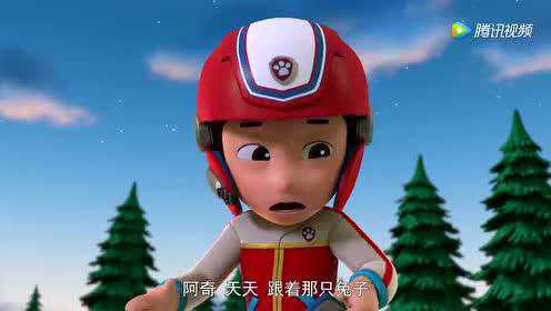 汪汪队立大功第八季[英文版] 2集