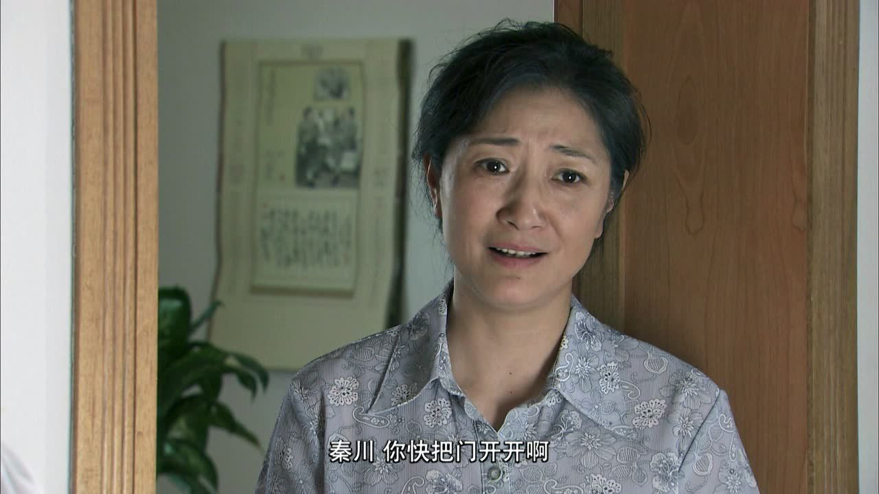 橄榄树 28集