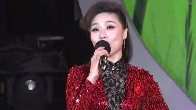 郝丹丹演唱《在希望的田野上》