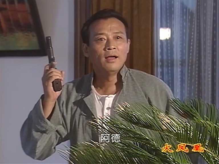 火凤凰 20集