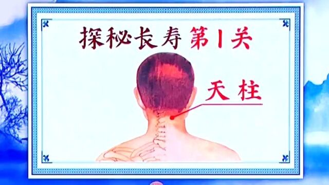 掌管我们身体和精神的“天柱”