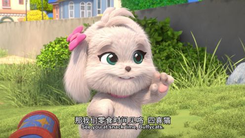 四喜猫第二季英文版 第36话_高清1080p在线观看平台_腾讯视频