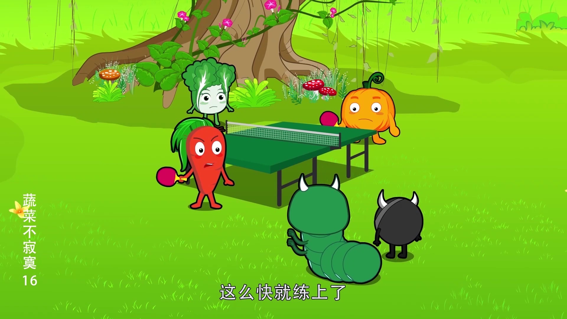 蔬菜不寂寞16 1集