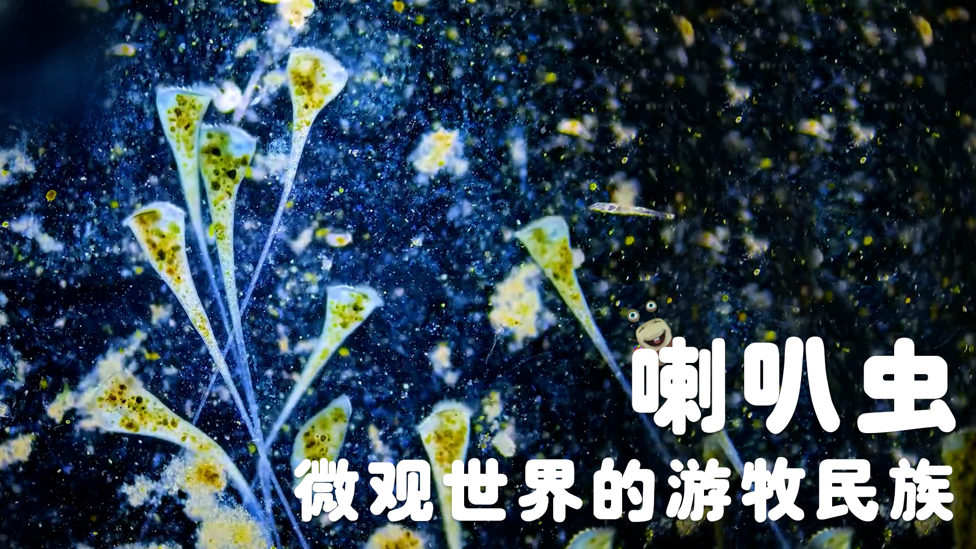 白白侠的微生物朋友 4集