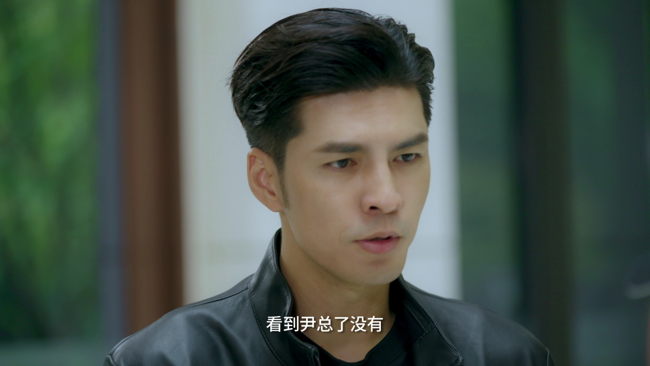 赘婿无双 22集