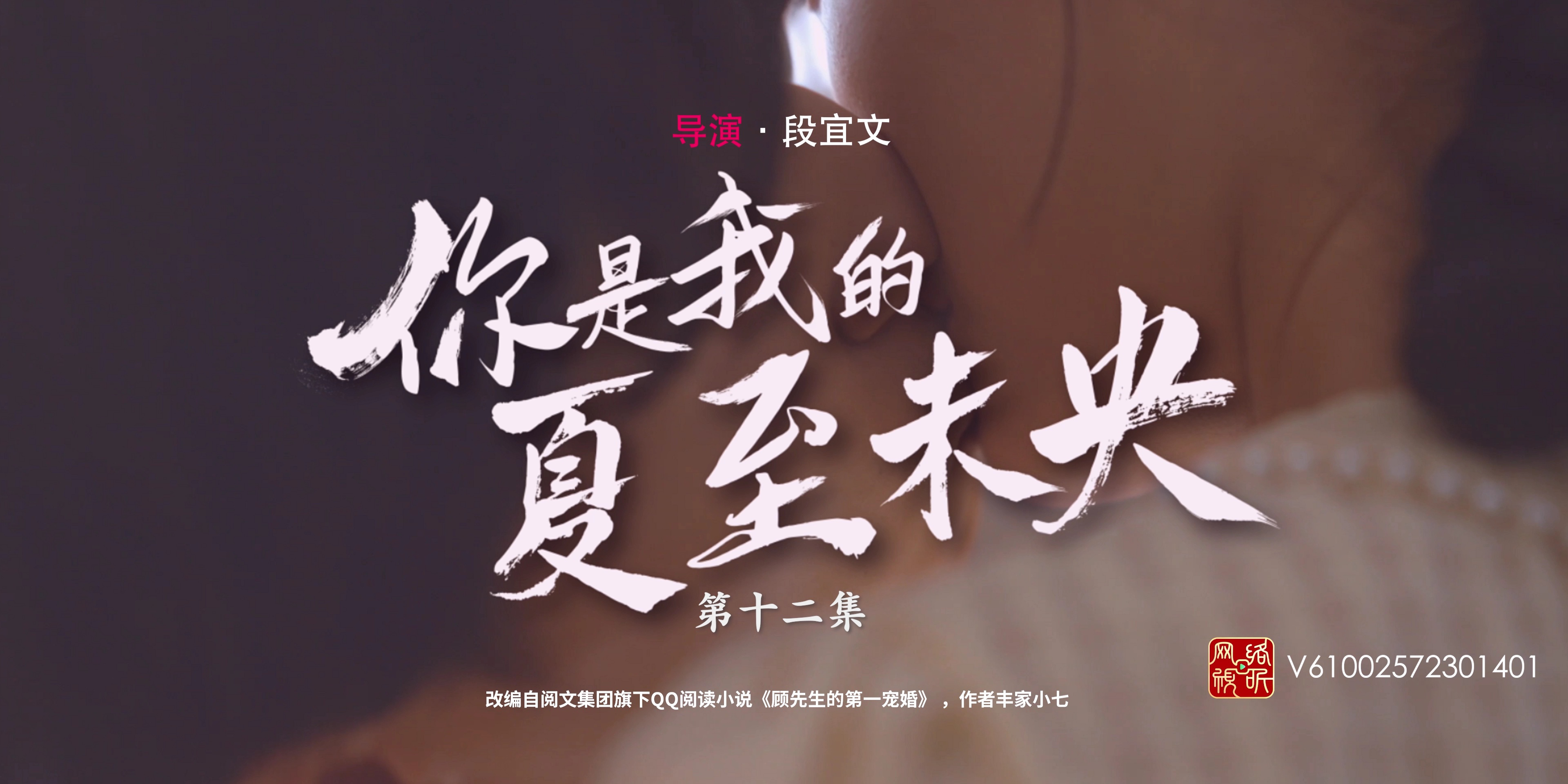 你是我的夏至未央 12集
