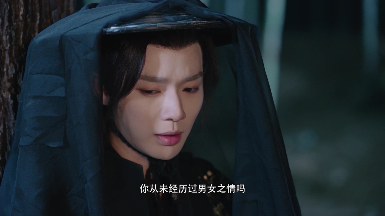 晚晚类卿 11集