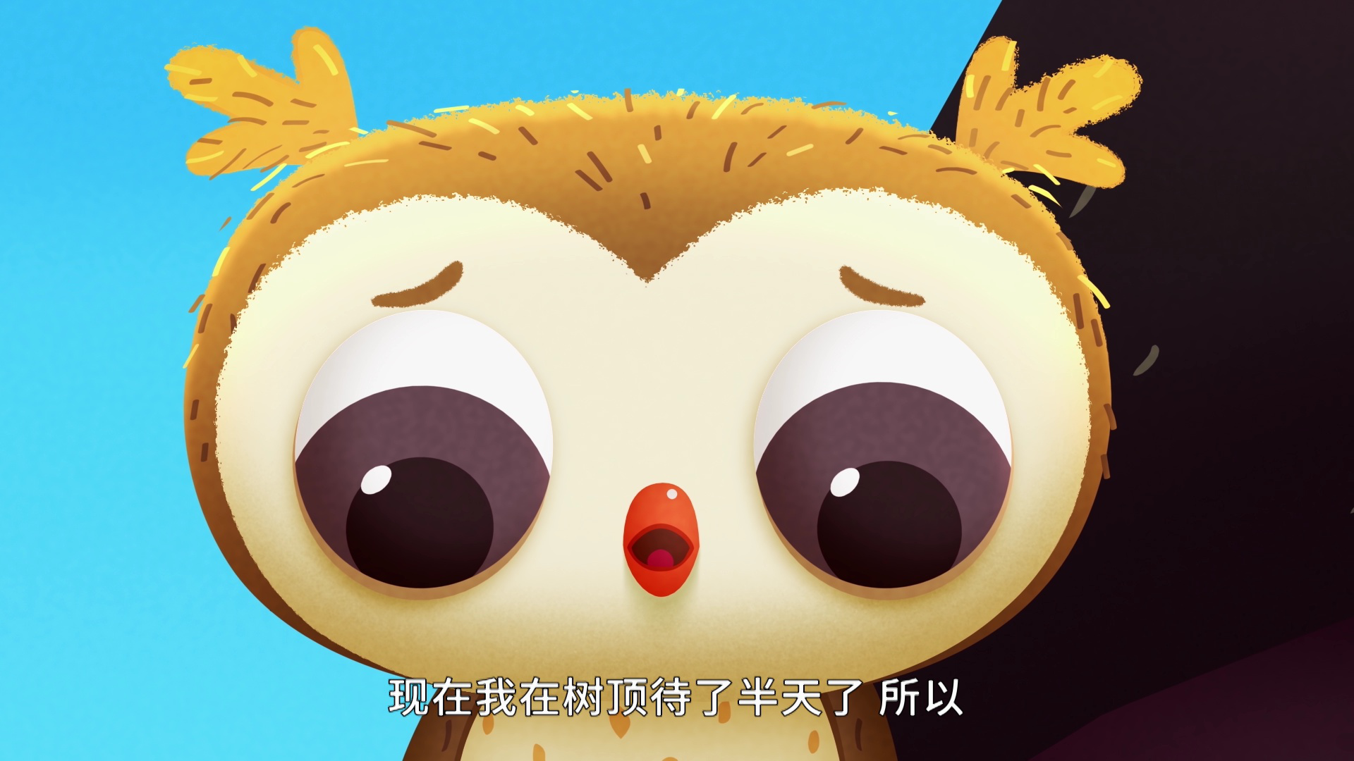 小猫头鹰奥多第一季 51集