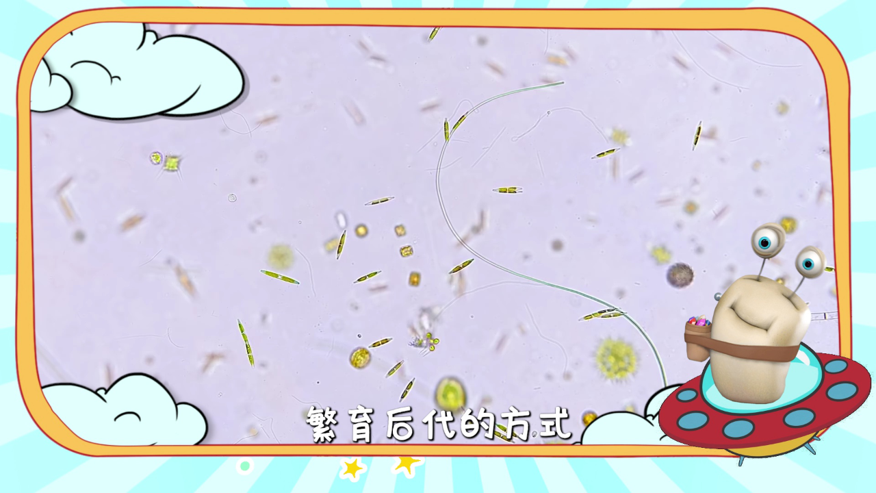 白白侠的微生物朋友 9集