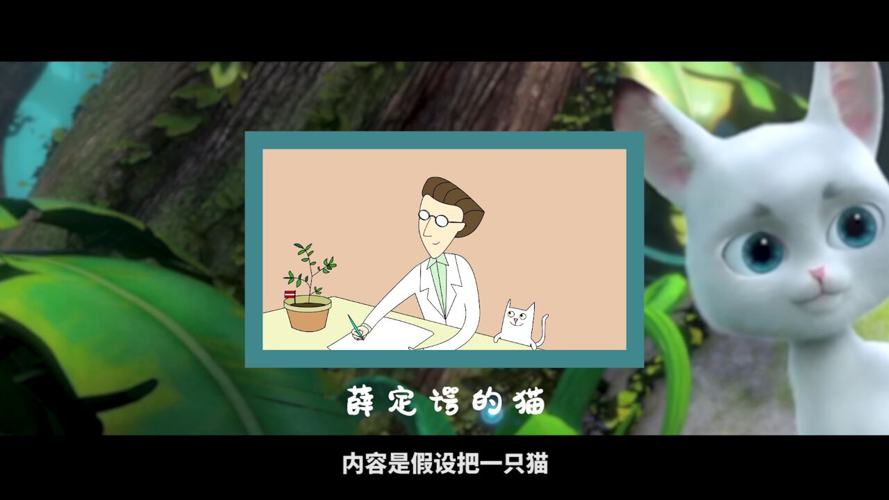 《熊出没·奇幻空间》薛定谔的猫究竟是什么?