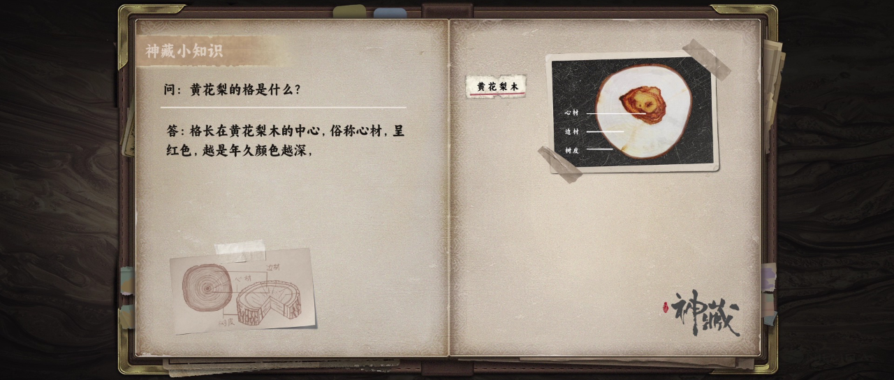 神藏 2集