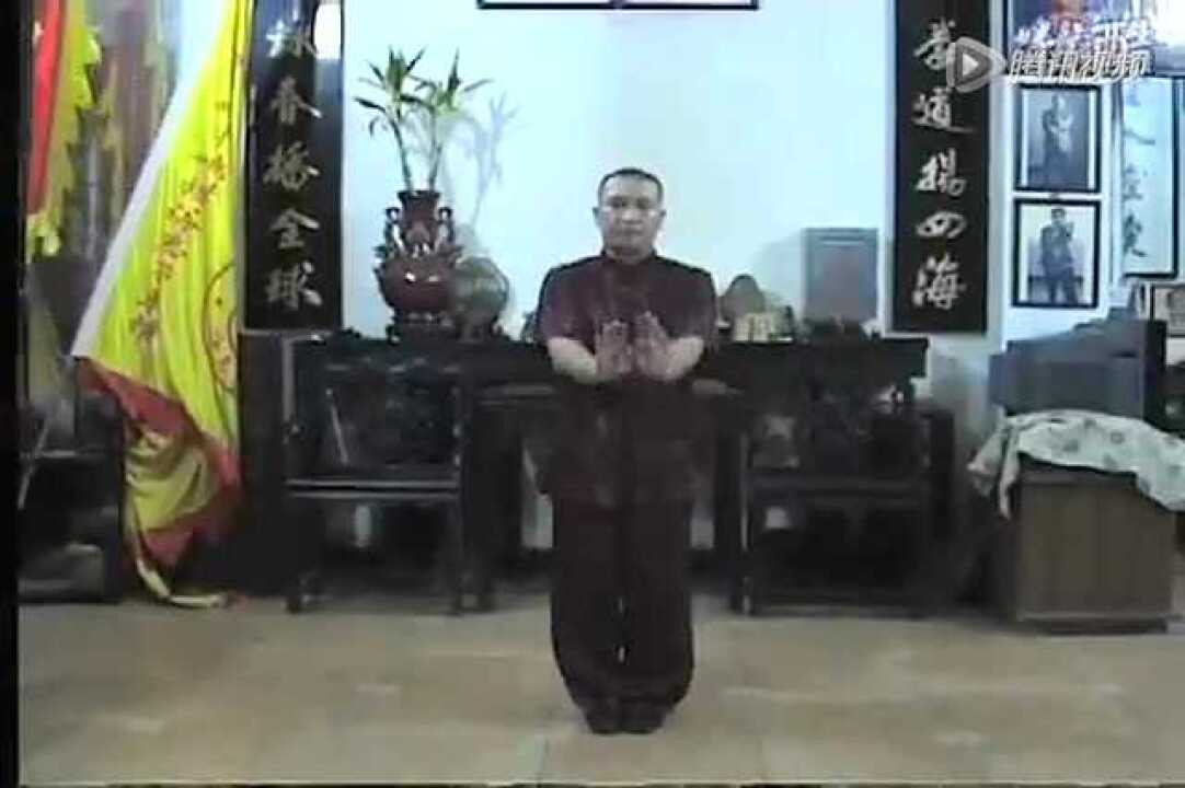 姚才(姚氏)咏春(小念头)_高清1080P在线观看平台_腾讯视频