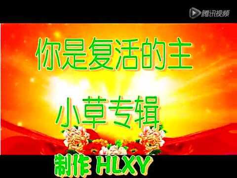 你是复活的主_腾讯视频