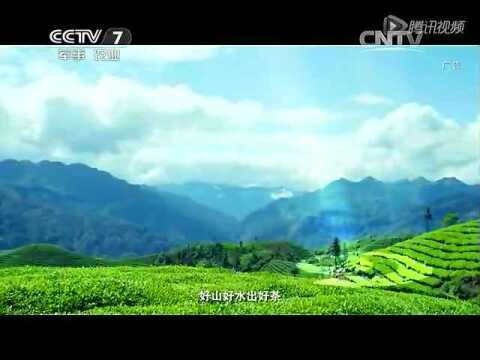 cctv7華萊健安化黑茶宣傳片20150620