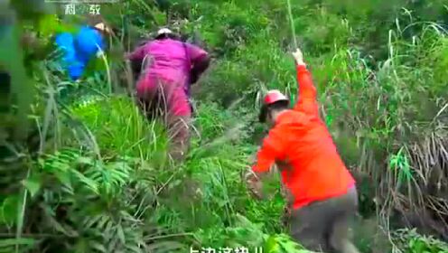 贵州一山谷被视为禁地，男孩误入后瞬间晕倒