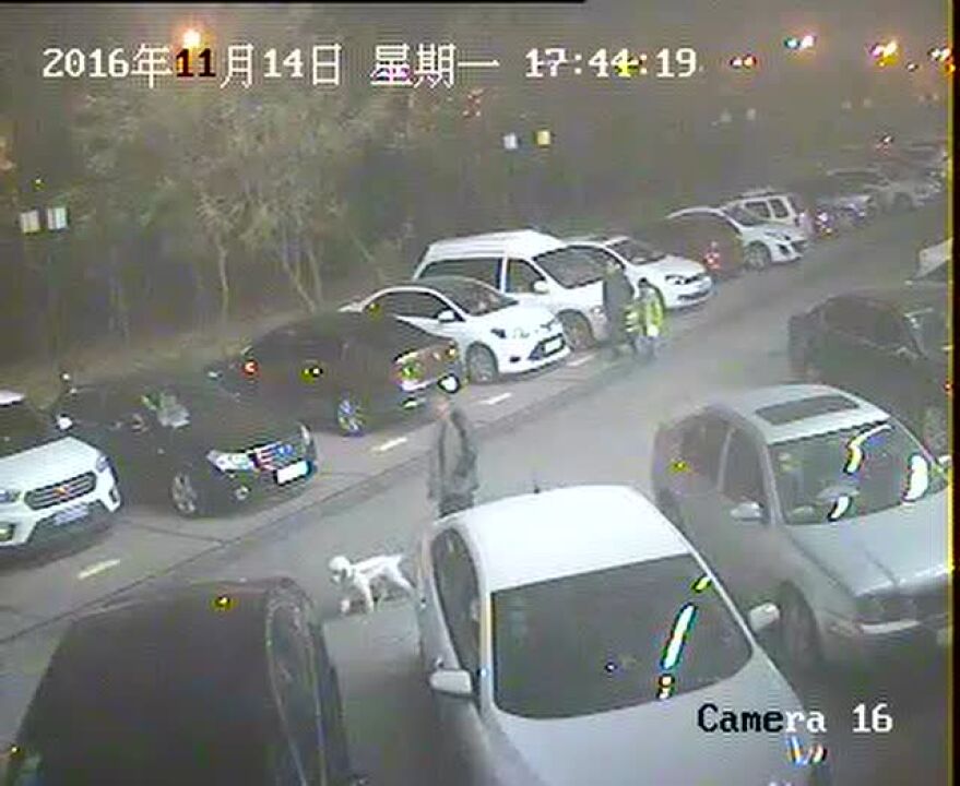 汽车监控视频_高清1
