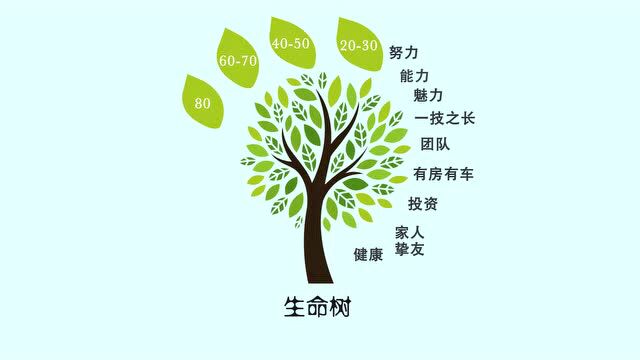 人生的不同成长阶段