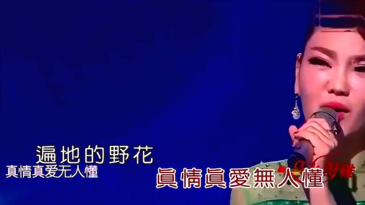 現場公開擇偶標準,王為念當場求婚果果綜文03:41烏蘭圖雅一首《站在