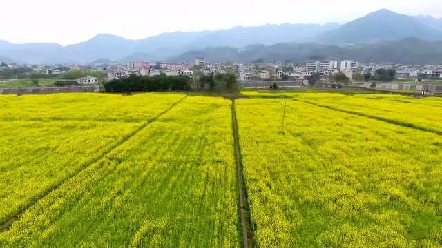 美哭了,2017大坝苗族乡宣传片!