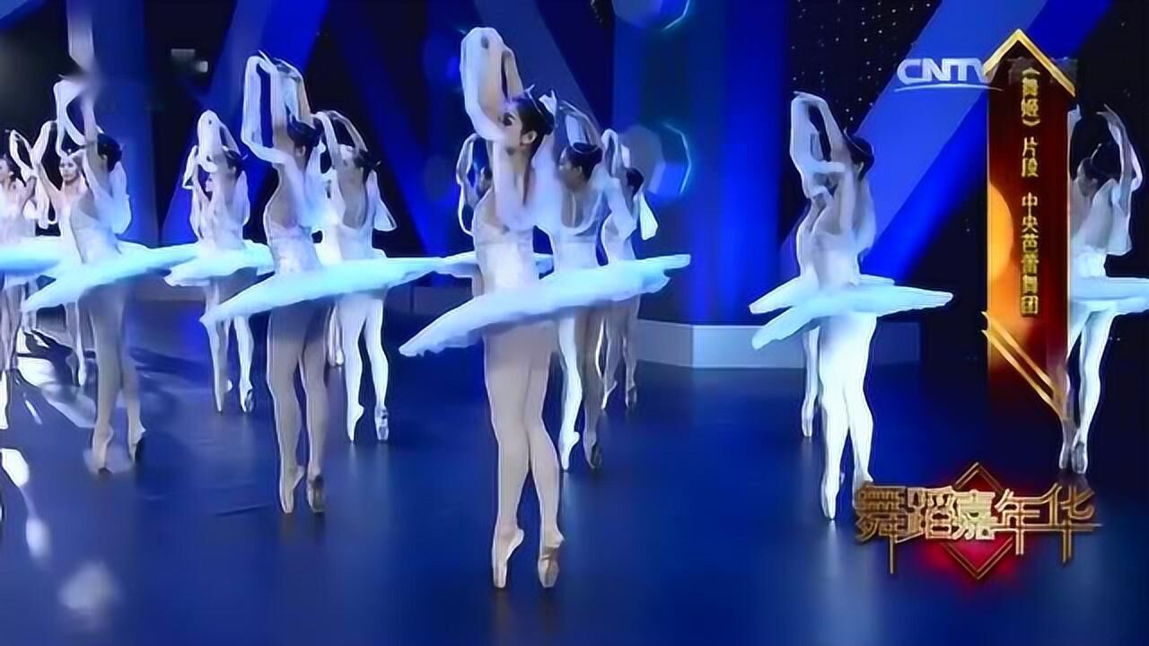 中央芭蕾舞团表演的芭蕾舞，太惊艳了！_腾讯视频