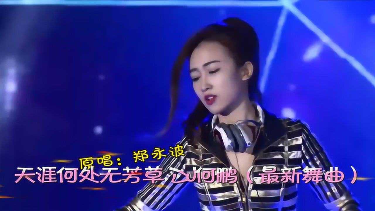 沿音坊dj音乐天涯何处无芳草dj何鹏618最新舞曲