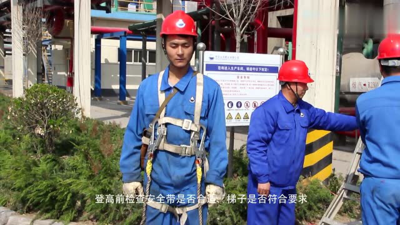 专业学习-登高作业_高清1080P在线观看平台_腾讯视频