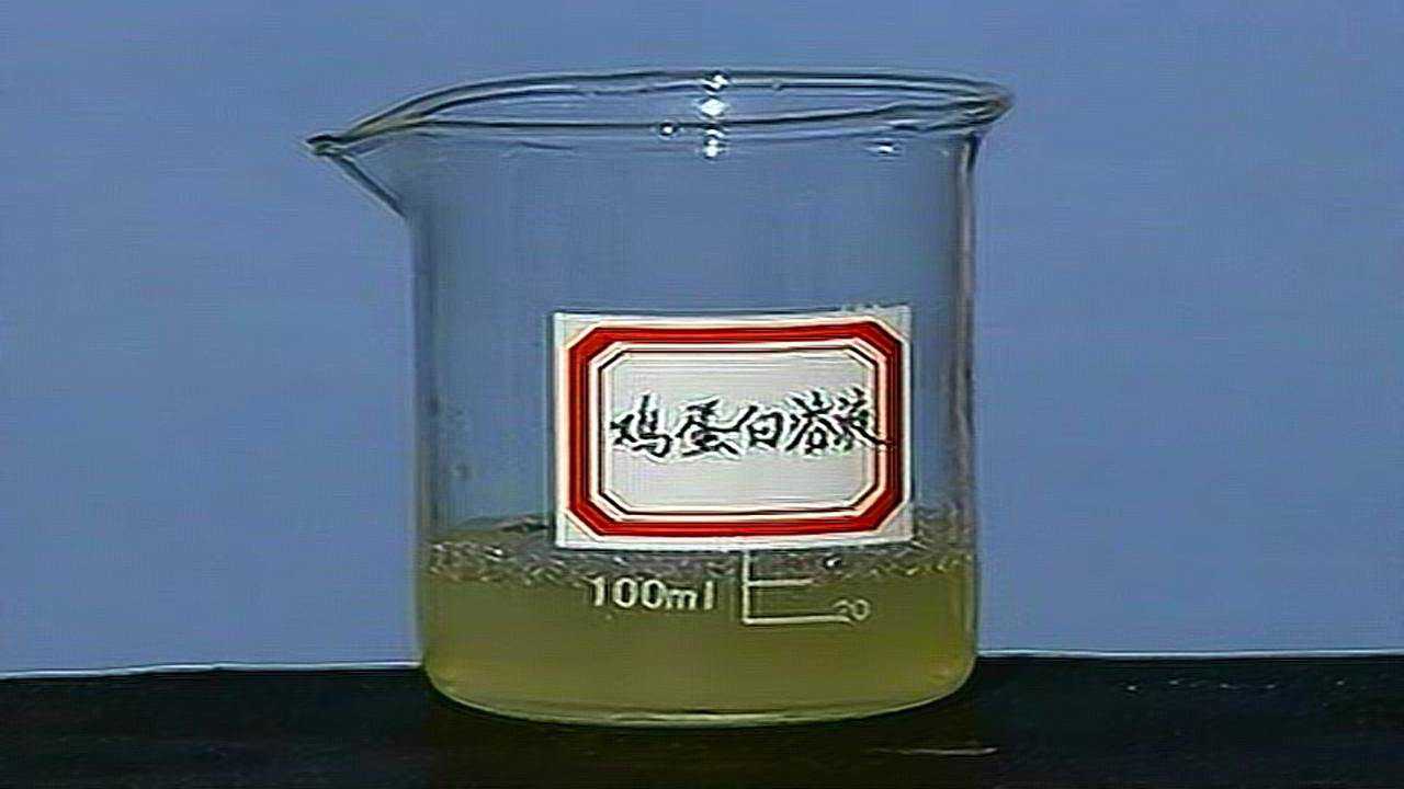 实验视频-蛋白质的变性