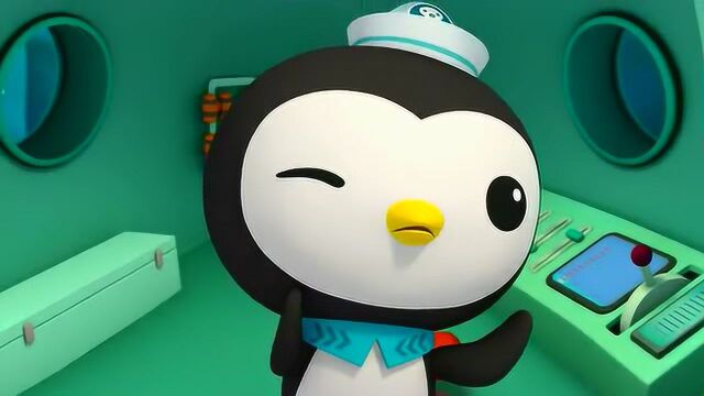 海底小纵队引水鱼和鲨鱼应该天生就是一对吧