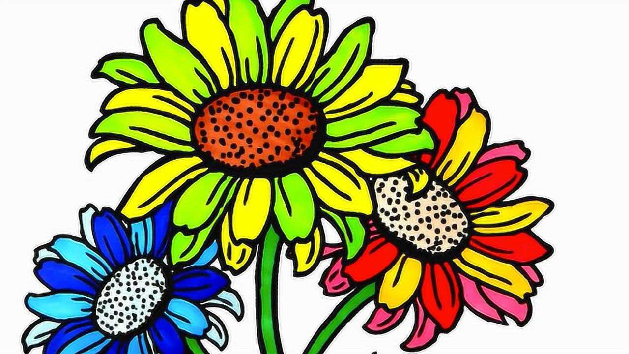 向日葵花向阳开简笔画儿歌视频