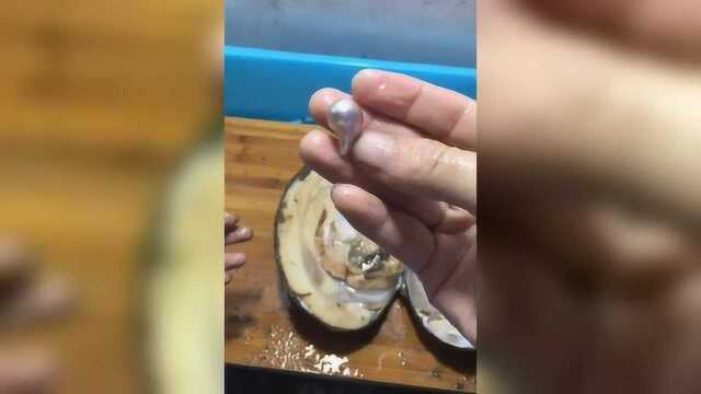 开珍珠蚌蚌取异形珍珠,感觉就是不一样